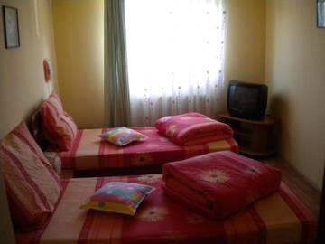 Фото номера Двухместный номер с 2 отдельными кроватями Мотели Motel Dalia г. Джилэу 3